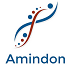 Amindon, Inc. Amindon, Inc.